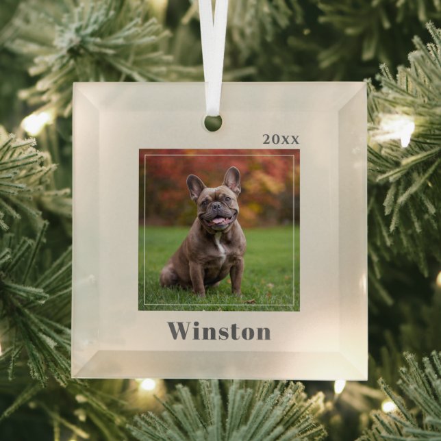 Modern Ivory Custom Pet Name Photo Glass Tree Decoration (Insitu)