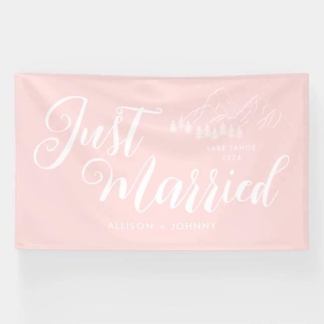 Modern Just Married Wedding Reception Pink car Banner (Horizontal)