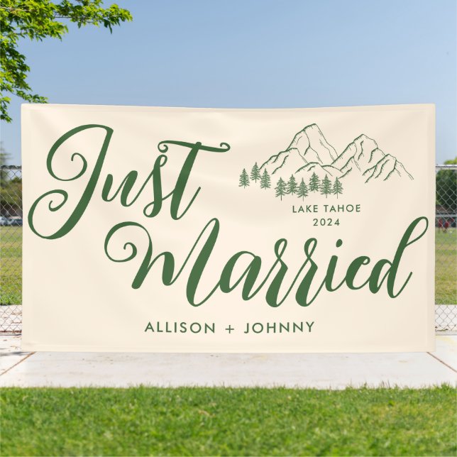 Modern Just Married Wedding Reception Rustic car Banner (Outside)