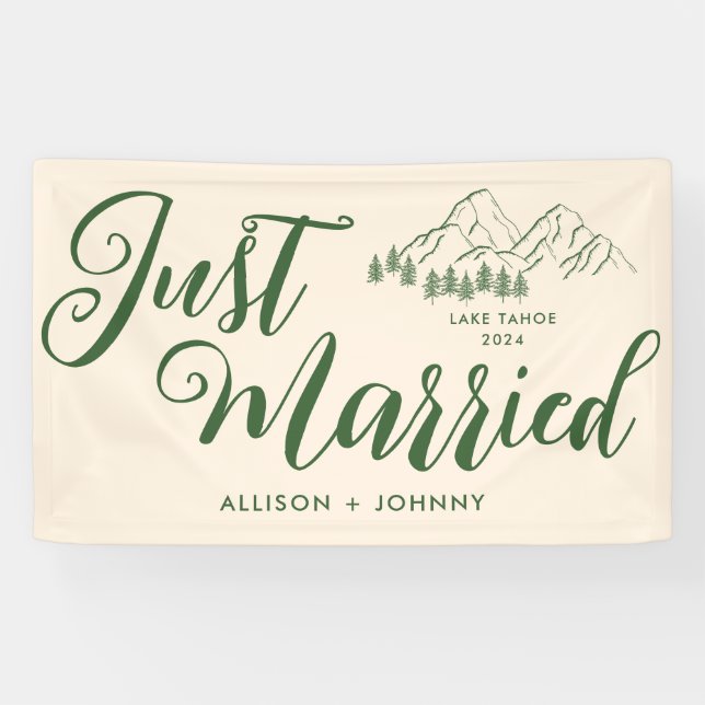 Modern Just Married Wedding Reception Rustic car Banner (Horizontal)