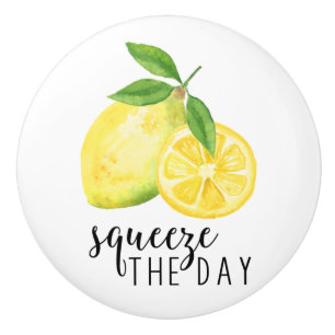 MODERN KITCHEN LEMON PUN CERAMIC KNOB