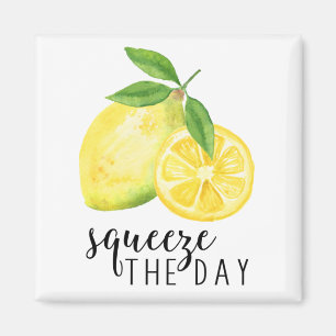 MODERN KITCHEN LEMON PUN MAGNET