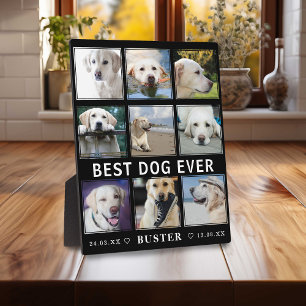 Modern Loss of Pet   Best Dog Ever Photo Collage Plaque