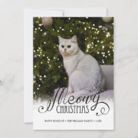 Modern Meowy Christmas Photo Cat Pet Holiday Card