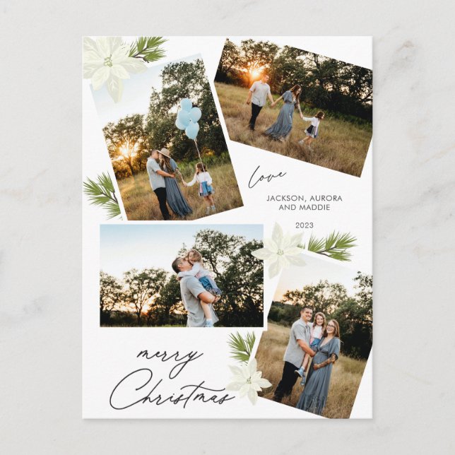 Modern Merry Christmas 4 photo Poinsettia Holiday Postcard (Front)