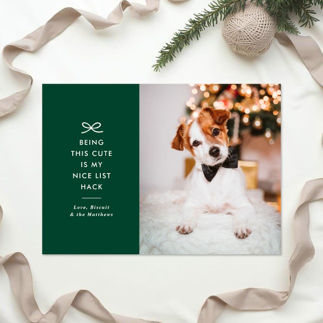 Modern Minimal Bow Nice List Pet Christmas Photo Holiday Card (Creator Uploaded)