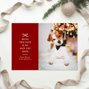 Modern Minimal Bow Nice List Pet Christmas Photo Holiday Card