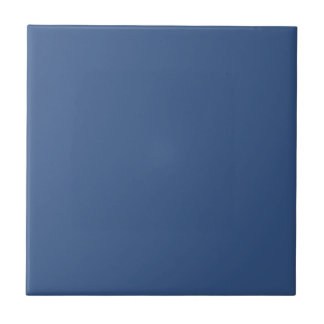 Modern Minimalist Blue Tile