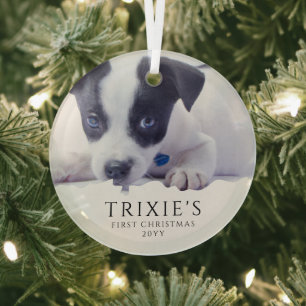 Modern Minimalist Dog's First Christmas Photo Glass Tree Decoration