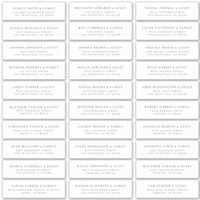 Modern Minimalist Elegant Guest Names Address (Front)