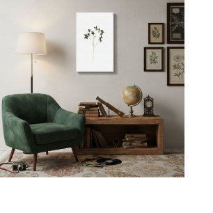 Modern minimalist elegant line drawing flowers canvas print