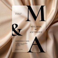 Modern Minimalist Frosted Wedding