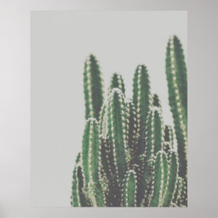 Modern Minimalist Green Cactus Photo Poster