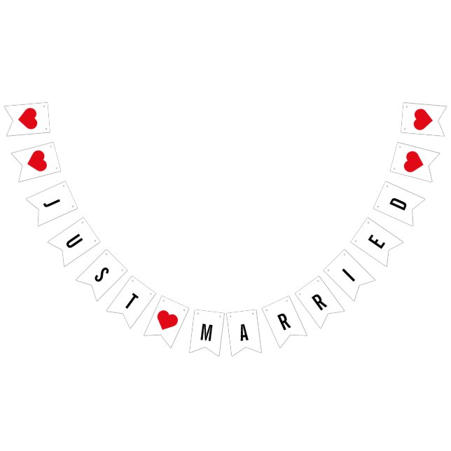 Modern Minimalist Just Married Newlyweds Bunting (All)