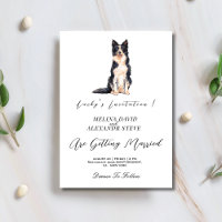 Modern minimalist pet dog photo wedding 