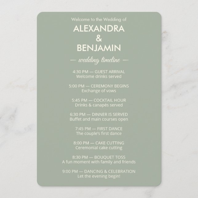 Modern Minimalist Wedding | Sage Green Timeless  Programme (Front)