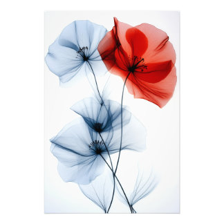 Modern minimalistic art, translucent flowers photo print