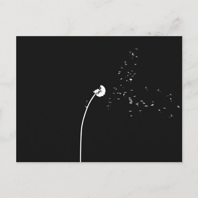 Modern Minimalistic Black & White Dandelion Flower Postcard (Front)