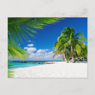 Modern Nature Beach Landscape Postcard