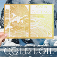 Modern Nautical Seas & Greetings, Orca Whale