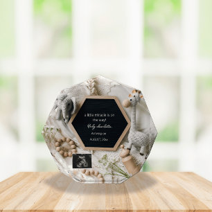 Modern Neutral boho pregnancy announcement  Photo Block