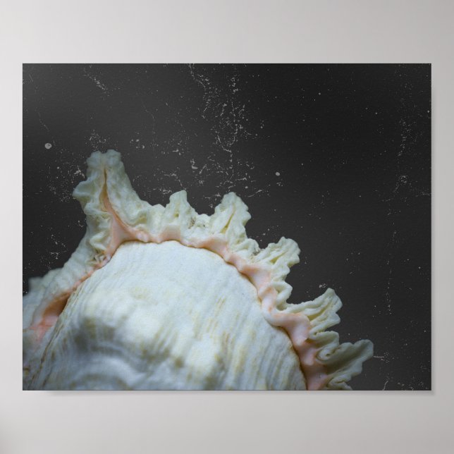 Modern Neutral Tropical Seashell Printable Art Poster (Front)