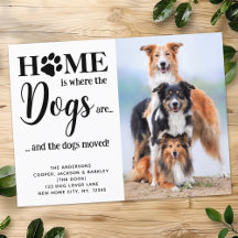 Modern New Address Custom Photo Dogs Pet Moving