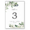 Modern Olive Branch Table Number
