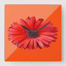 Modern Orange Daisy Botanica