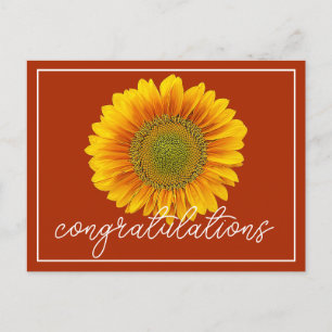 Modern Orange & Yellow Sunflower Congratulations Postcard
