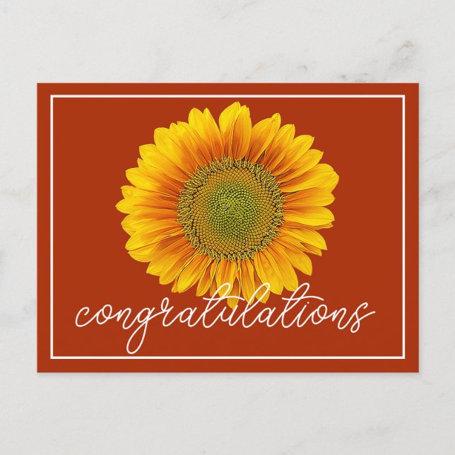 Modern Orange & Yellow Sunflower Congratulations Postcard (Front)
