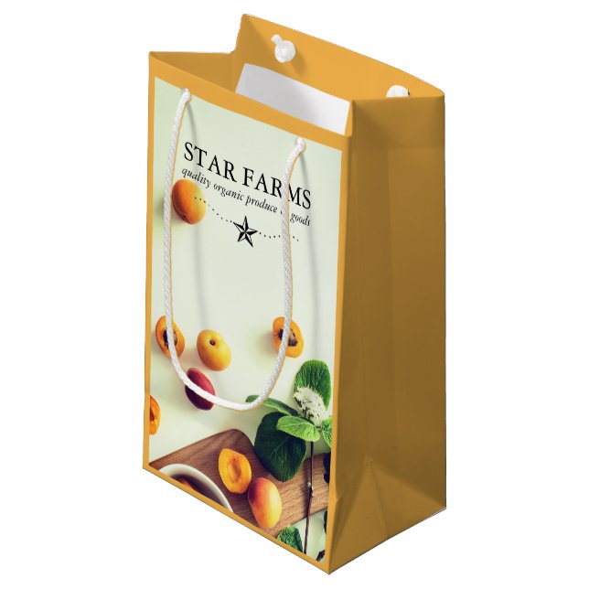 Modern Organic Farmer Fruit Herbs Promotional Small Gift Bag (Front Angled)