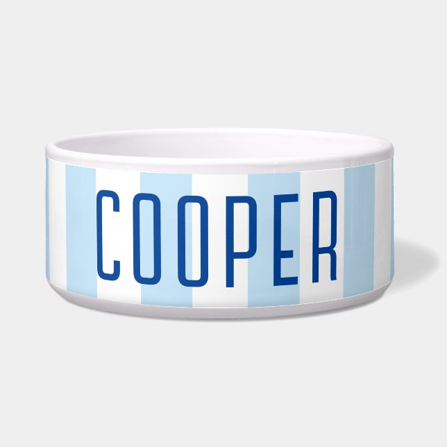 Modern Pale Blue and White Stripe Name (Front)