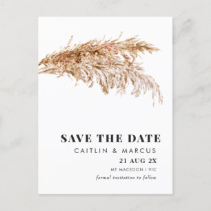 Modern Pampas Wedding Save The Date Postcard