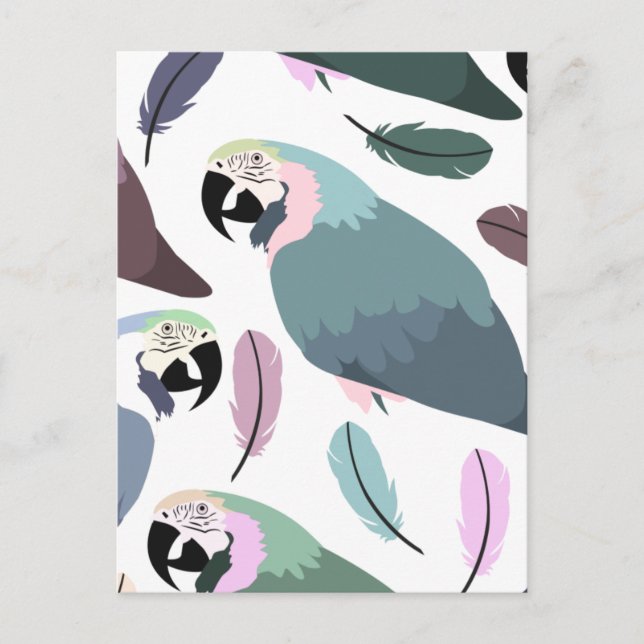 Modern Parrots Tropical Pattern  Postcard (Front)