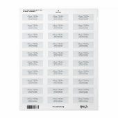 Modern Personal Address Label - Clear Snow White (Full Sheet)
