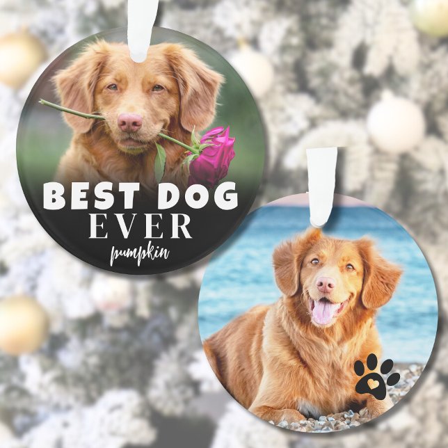 Modern Personalised Cute Best Dog Ever Photo Ornament (Personalized Cute Best Dog Photo Ornament )