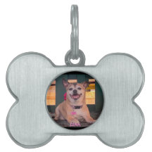 Modern Personalised Dog Name photo