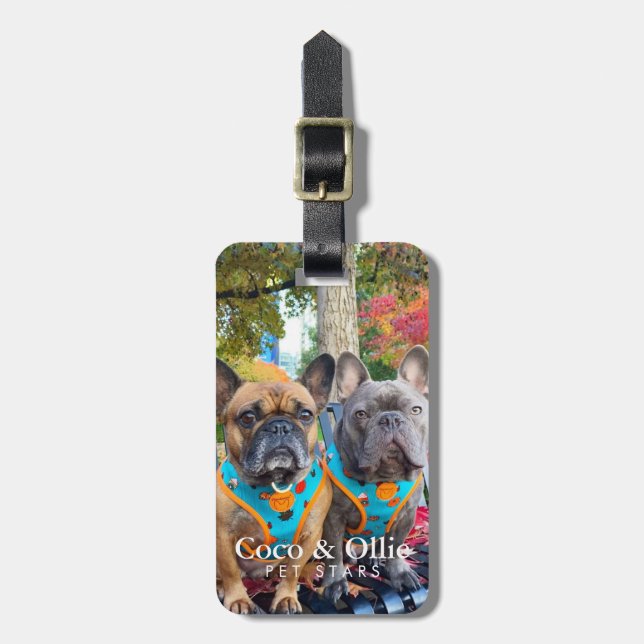 Modern Personalised Giveaway Winners Coco & Ollie Luggage Tag (Front Vertical)