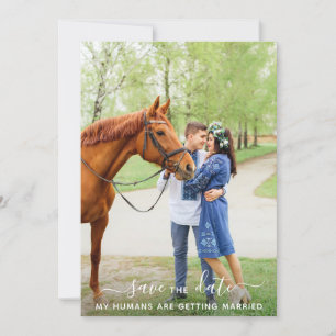 Modern Personalised Pet Photo Horse Wedding Save The Date