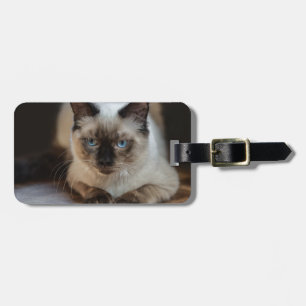 Modern Pet Cat Photo Luggage Tag