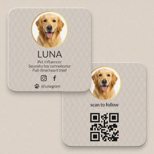 Modern Pet Groomer Influencer Gold QR Code Square Business Card