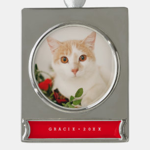 Modern Pet Holiday Ornament