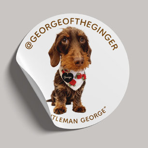 Modern Pet Influencer Custom Photo Classic Round Sticker