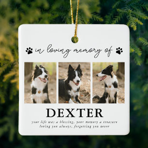 Modern Pet Loss Memorial Photo Ceramic Ornament