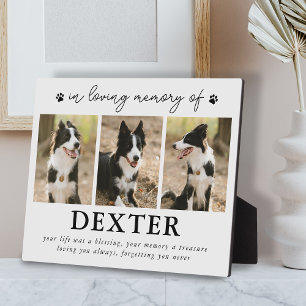 Modern Pet Loss Memorial Photo Plaque