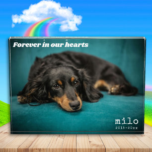 Modern Pet Memorial Custom Overlay Pet Photo Block