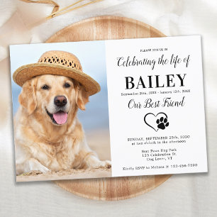 Modern Pet Memorial Photo Celebration Of Life Invitation