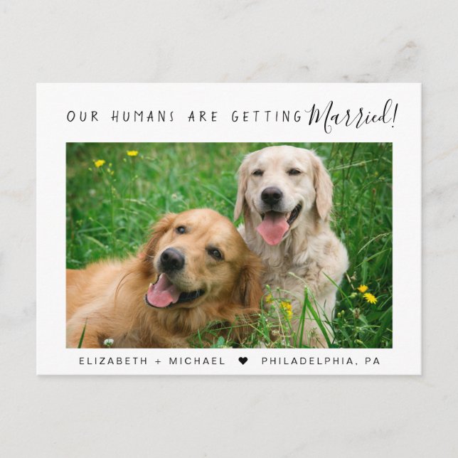 Modern Pet Photo Engagement Announcement Postcard (Front)