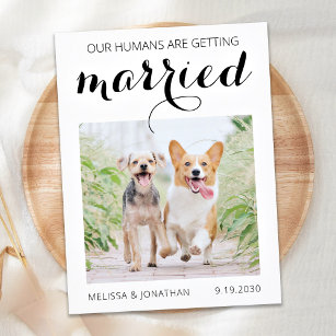 Modern Pet Photo Engagement Dog Save The Date Anno Announcement Postcard
